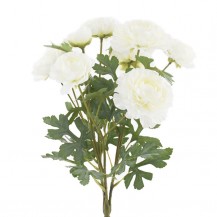 RANUNKULUS BUKET 40CM X3 BIJELI DKO