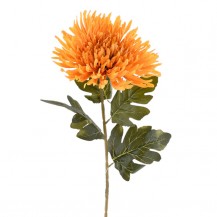 KRIZANTEMA GRANA 73CM ORANŽ DKO