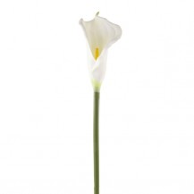 KALA 66CM BIJELA DKO