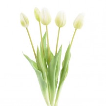 TULIPAN BUKET X5 44CM BIJELI DKO