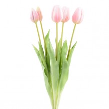 TULIPAN BUKET X5 44CM ROZA DKO