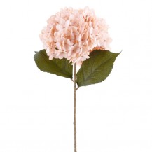 HORTENZIJA 47CM KORAL DKO