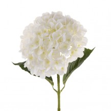 HORTENZIJA GRANA 66CM BIJ. DKO