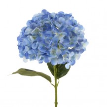 HORTENZIJA GRANA 66CM PLAVA DKO