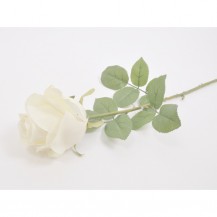 RUŽA GRANA 68CM BIJELA DKO