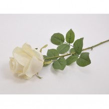 RUŽA GRANA 68CM KREM DKO