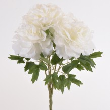 PEONIJA BUKET X5 46CM BIJELA DKO