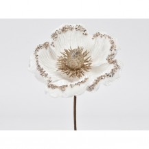 MAGNOLIJA BIJ. SA ŠLJOKICAMA D10CM (12) 1KOM DKO