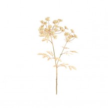 KOROMAČ GRANA 73.6CM X2 KREM DKO