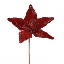 BOŽIĆNA ZVIJEZDA DIA31CM CRV. (6) 1KOM DKO