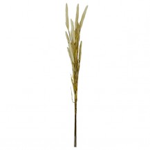 LISIČJI REP BUKET 114CM KREM DKO