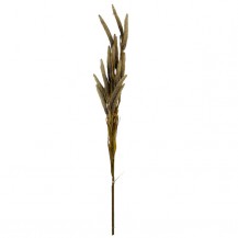 LISIČJI REP BUKET 114CM SMEĐA DKO