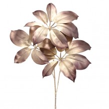 SCHEFFLERA GRANA 78,74CM VIJOLA DKO