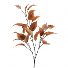 LIPA GRANA 114.3CM NARANČASTA DKO