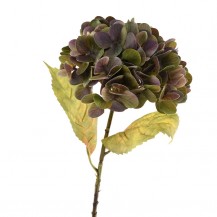 HORTENZIJA GRANA 57,9CM VIJOLA/ZEL. DKO