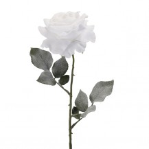 RUŽA GRANA 67CM LEDENA BIJ. DKO
