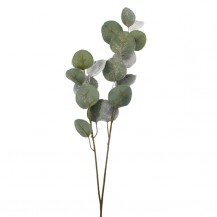 EUKALIPTUS GRANA 81,3CM ZEL.LEDENA DKO