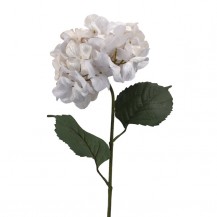 HORTENZIJA GRANA 70CM BIJ. DKO