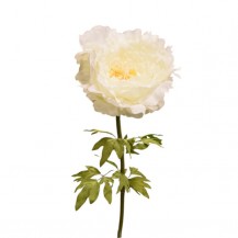 BOŽUR VELIKI D60XH135CM KREM DKO