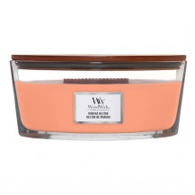 SVIJEĆA WW CLASS.ELLIPSE MANUKA NECTAR LIV