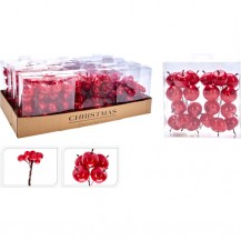 BOBICE/JABUKE CRVENE SORT KOOP