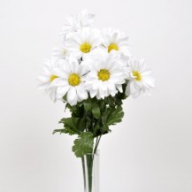 TRATINČICE BUKET X12 BIJELE DKO