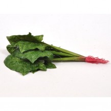 ŠPINAT BUKET 24CM DKO