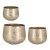 VAZA CLAMP H19,5 ZLAT. BIZ