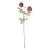 RUŽA ANNELLY X2 H63 BORDO BIZ