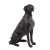 FIGURA PAS WEIMARANER 39CM DUT