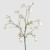 MAGNOLIJA JUMBO GRANA H180 EDG
