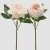 PEONIA GRANA H58 SV.PINK SORT EDG