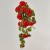 PELARGONIJA GRANA PADAJUĆA H75 CRV. EDG