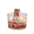 SVIJEĆA FRIENDS CUPCAKE PECAN CARAMEL 29659 LIV