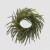 VIJENAC CRYPTOMERIA D35 ZEL. EDG