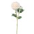 KRIZANTEMA GRANA 60CM X2 KREM DKO