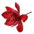 MAGNOLIJA D10CM (6) 1KOM CRV. DKO