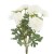 RANUNKULUS BUKET 40CM X3 BIJELI DKO