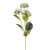 VIBURNUM GRANA 62CM X3 BIJELA DKO