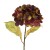 HORTENZIJA GRANA 57,9CM BORDO/ŽUTA DKO