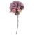 HORTENZIJA GRANA 50CM BORDO DKO