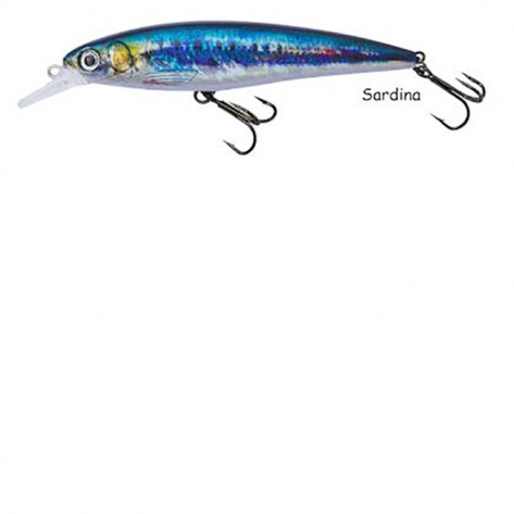 REALISTIC FISH 100 SARDINA DTD