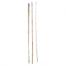 ŠTAP ZA PECANJE BAMBOO 200CM KOOP